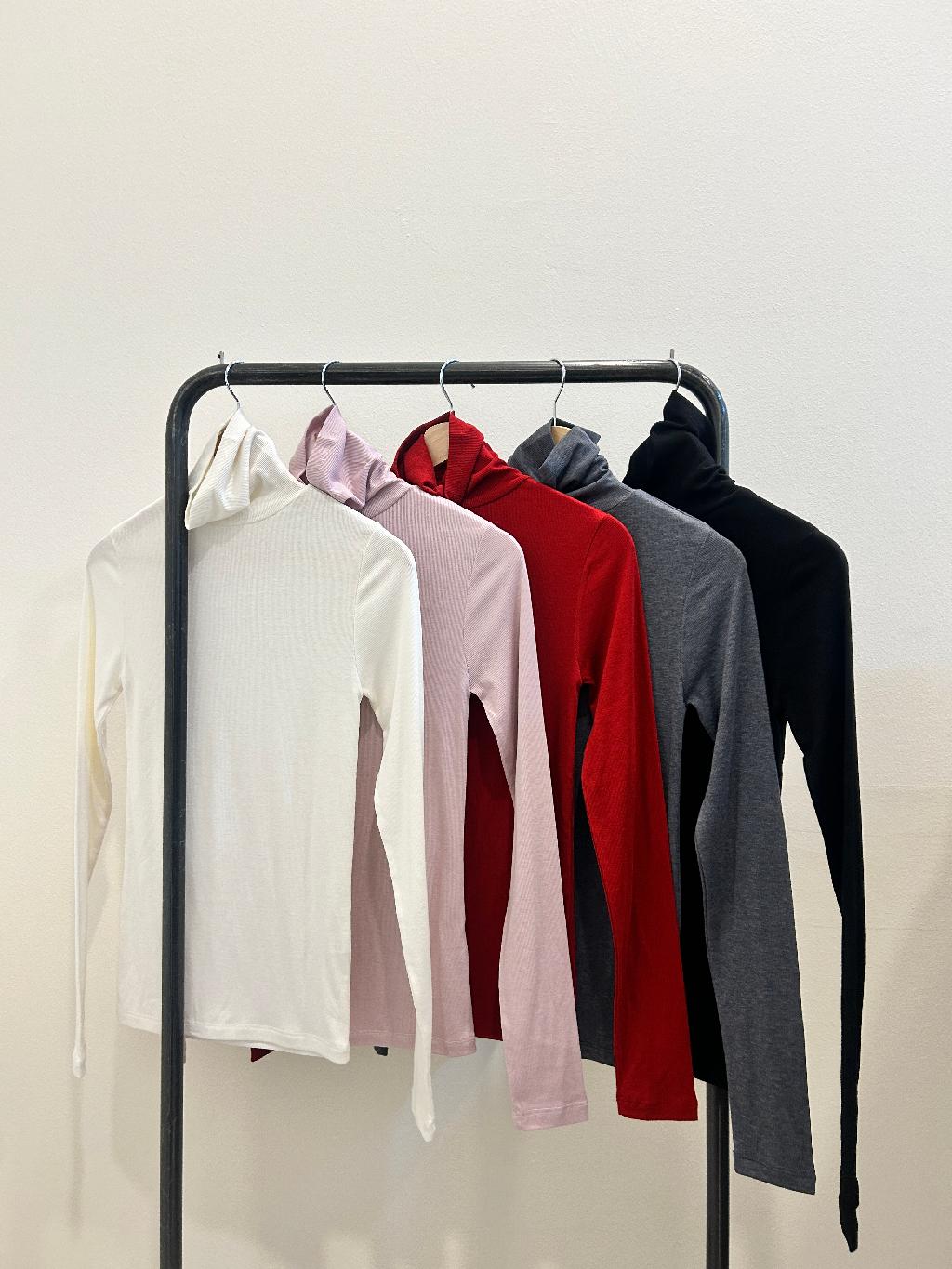 기획)쿠키기모폴라